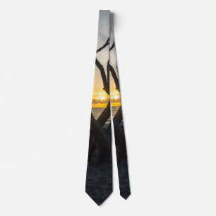 A Folly Sunrise Neck Tie Slips