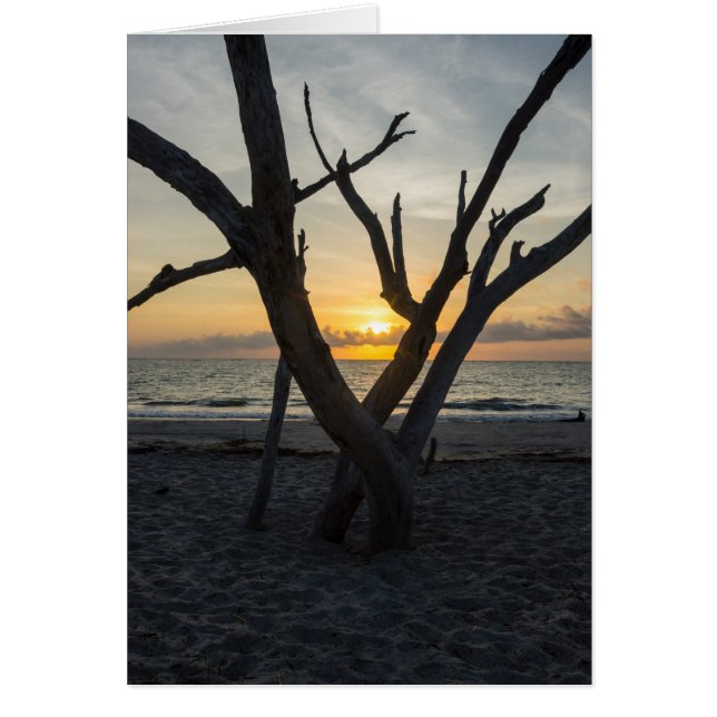 A Folly Sunrise OBS Kort (Framsidan)