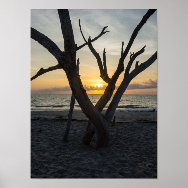 A Folly Sunrise Poster (Framsidan)