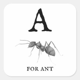 A för Ant Fyrkantigt Klistermärke