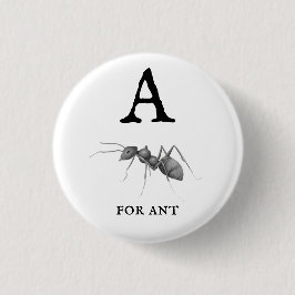 A för Ant Knapp