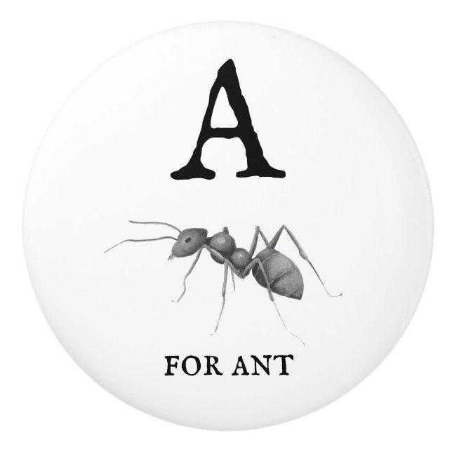 A för Ant Knopp (Framsidan)