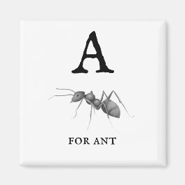 A för Ant Magnet