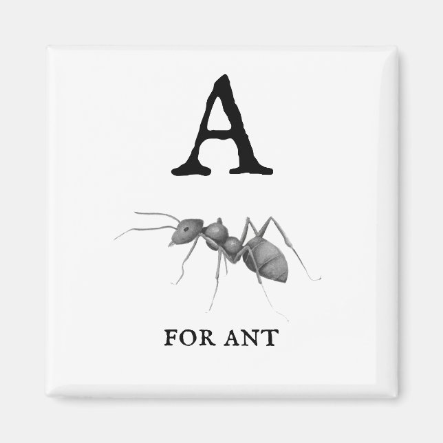 A för Ant Magnet (Framsidan)