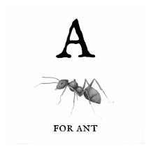 "A" för Ant Poster