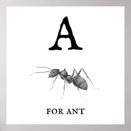 "A" för Ant Poster
