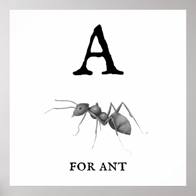 "A" för Ant Poster (Framsidan)