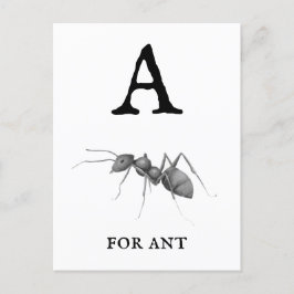 A för Ant Vykort