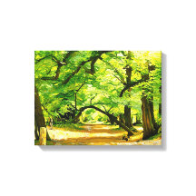 A Forest Väg, Robin Huva Forest