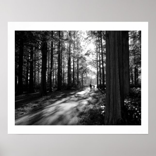 A Forest Walk: Mizumoto Park, Tokyo Poster (Framsidan)