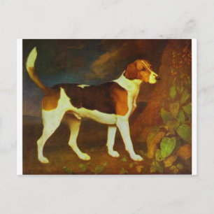 A Foxhound, Ringwod av George Stubbs Vykort