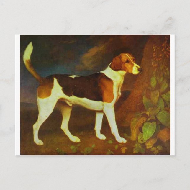 A Foxhound, Ringwod av George Stubbs Vykort (Framsida)