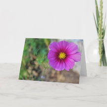 A Galaxy Inside a Flower