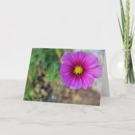 A Galaxy Inside a Flower Kort