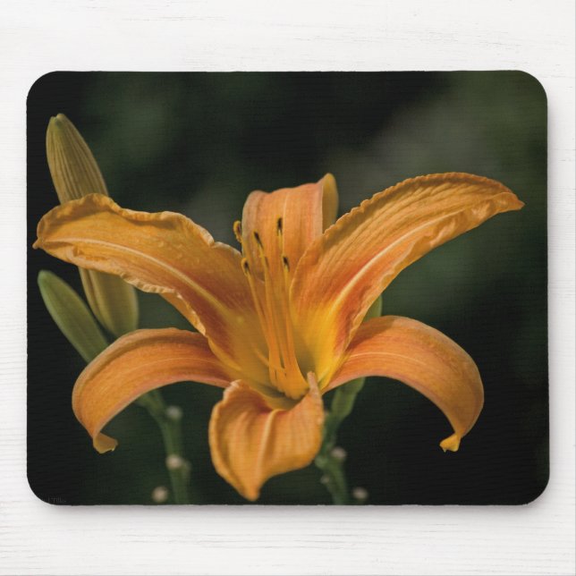 A Garden Delight Mousepad Musmatta (Framsidan)