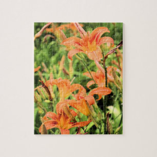 A Garden of Orange Tiger Lilies Pussel