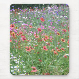 A Garden of Wildblommor Musmatta