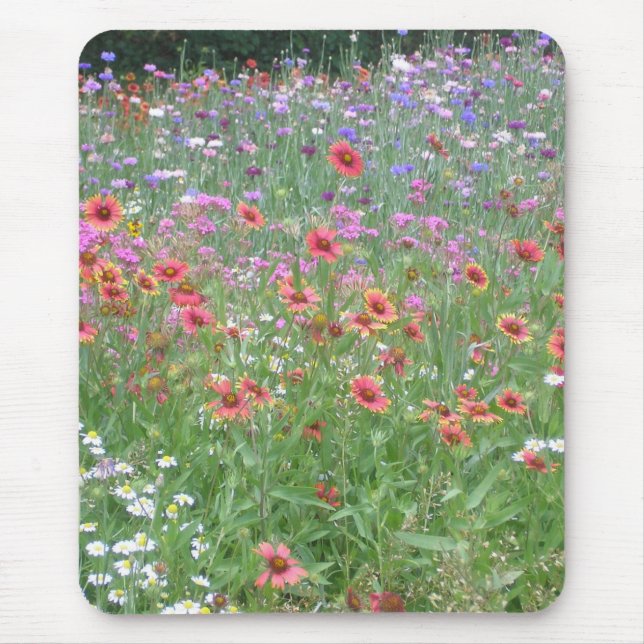 A Garden of Wildblommor Musmatta (Framsidan)