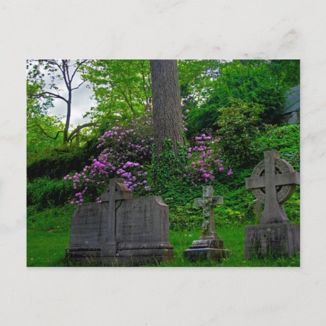 A Gardens Rest PostCard Vykort (Framsida)