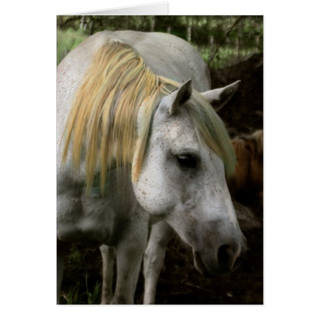 A Gentle Soul Hälsningskort (Framsidan)