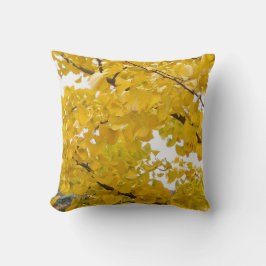 a ginkgo tree that embraces autumn kudde