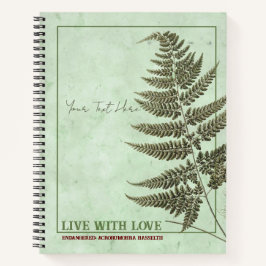 A Glimpse Vilden: Acrorumohra hasseltii Fern
