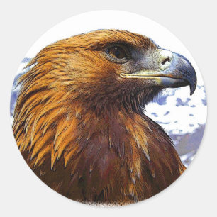 A Golden Eagle Runt Klistermärke