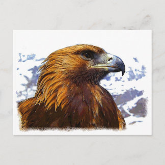 A Golden Eagle Vykort