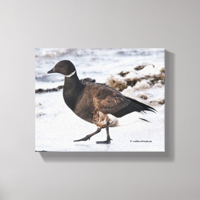 A Goosesteppin' Brant Canvastryck (Framsida)
