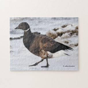 A Goosesteppin' Brant Pussel