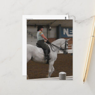 A Grått Dressage Horse Vykort