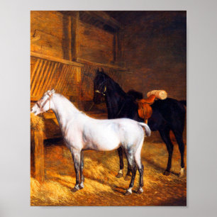 A Grått Pony och en svart häst i en stabil   Poster