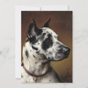A GREAT DANE Carl Reichert