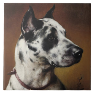A Great dane Tile Kakelplatta