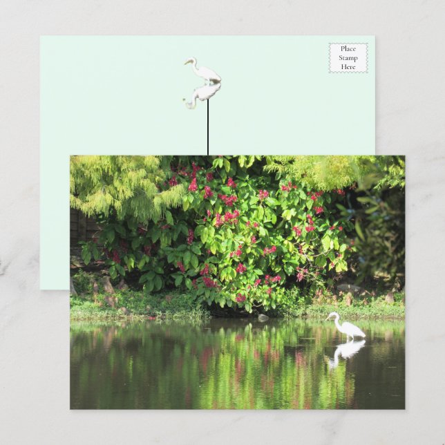 A Great Egret Fishing in the Swamp Helg Vykort (Fram/baksida)