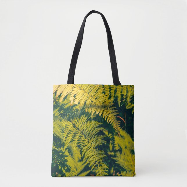 A green fern plants background with shadows. abstr tygkasse (Framsida)
