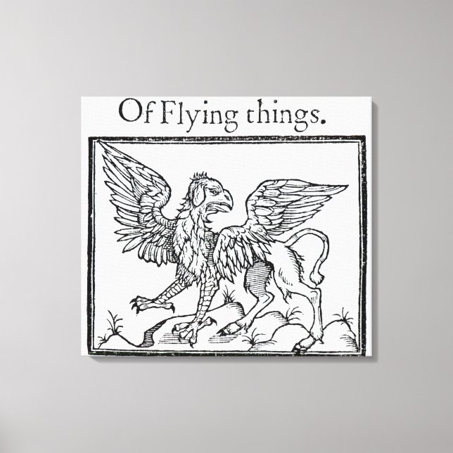 A Griffin Canvastryck (Framsida)