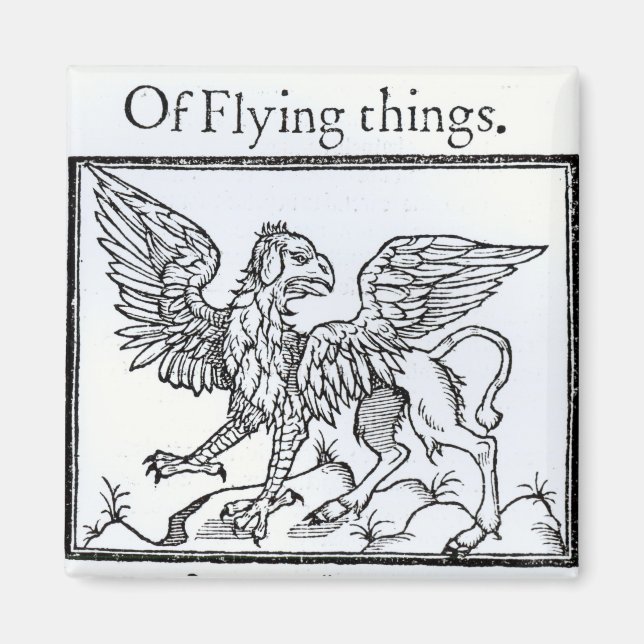 A Griffin Magnet (Framsidan)