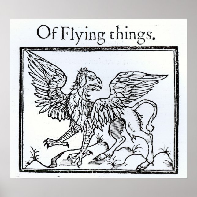 A Griffin Poster (Framsidan)