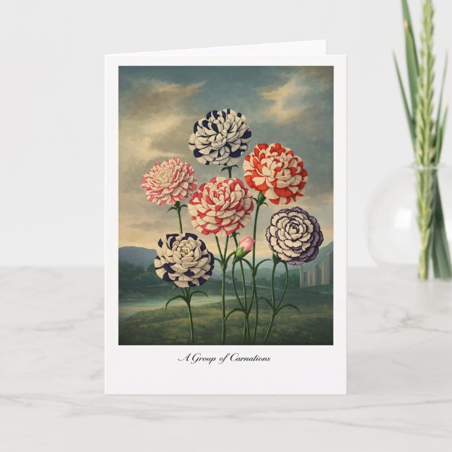 A Group of Carnations — Modern Botanical Reinterpr Kort (Framsida)
