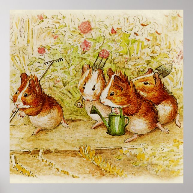 A Guinea Gris Garden från Beatrix Potter Poster (Framsidan)