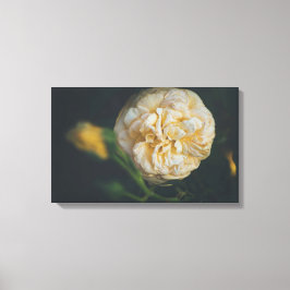 A GUL ROS CANVASTRYCK