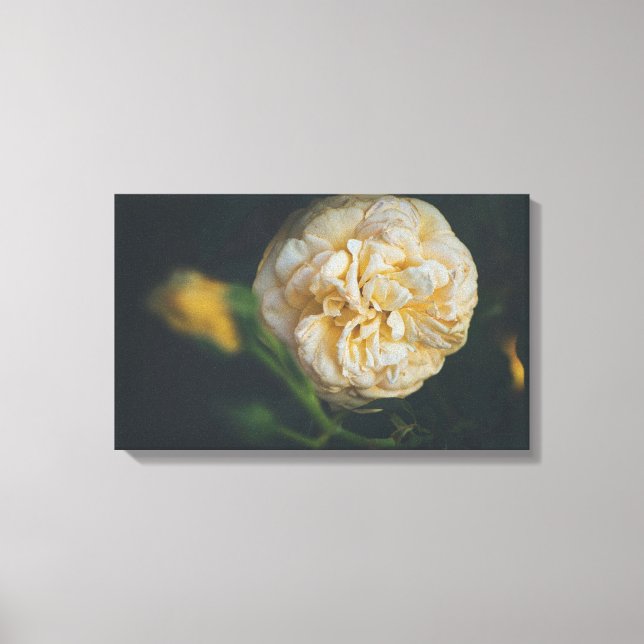 A GUL ROS CANVASTRYCK (Framsida)