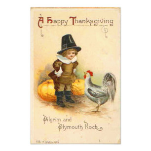 A Happy thanksgiving Pilgrim och Plymouth Sten Fototryck