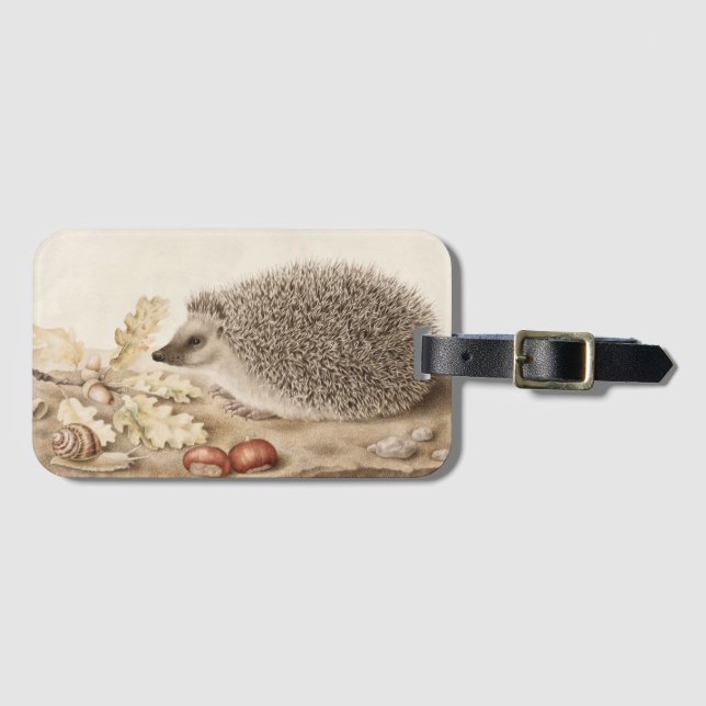 A Hedgehog in a Ligcape by Giovanna Garzoni Bagagebricka (Framsida horisontal)