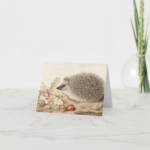 A Hedgehog in a Ligcape by Giovanna Garzoni Tack Kort
