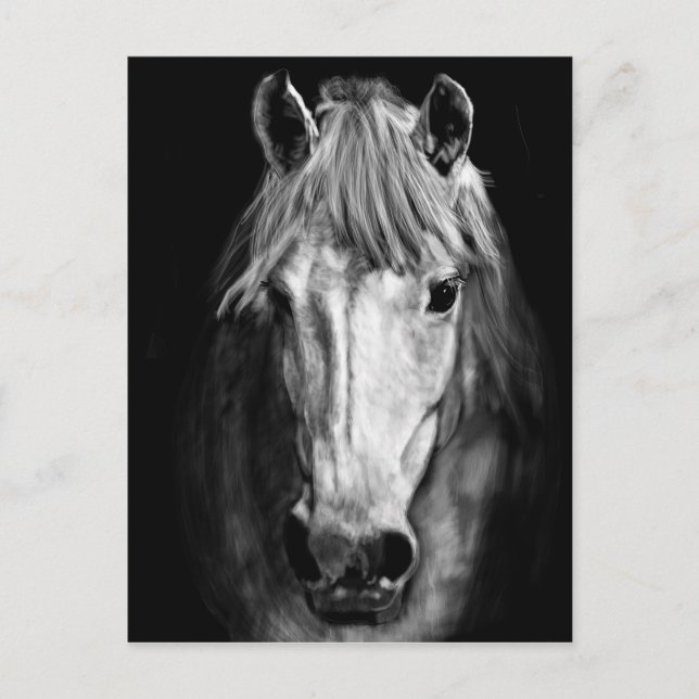 A Horse Kallas Elvis Vykort (Framsida)