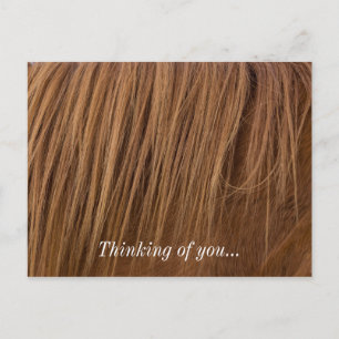 A Horse Mane Vykort