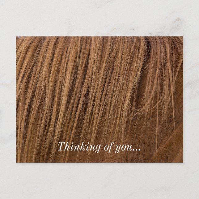 A Horse Mane Vykort (Framsida)