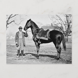 A Horse Named Cincinnati, 1865 Vykort